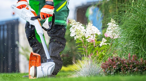 Création et aménagement de jardin à Beauvais