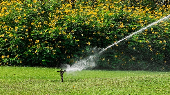 Création et aménagement de jardin à Beauvais