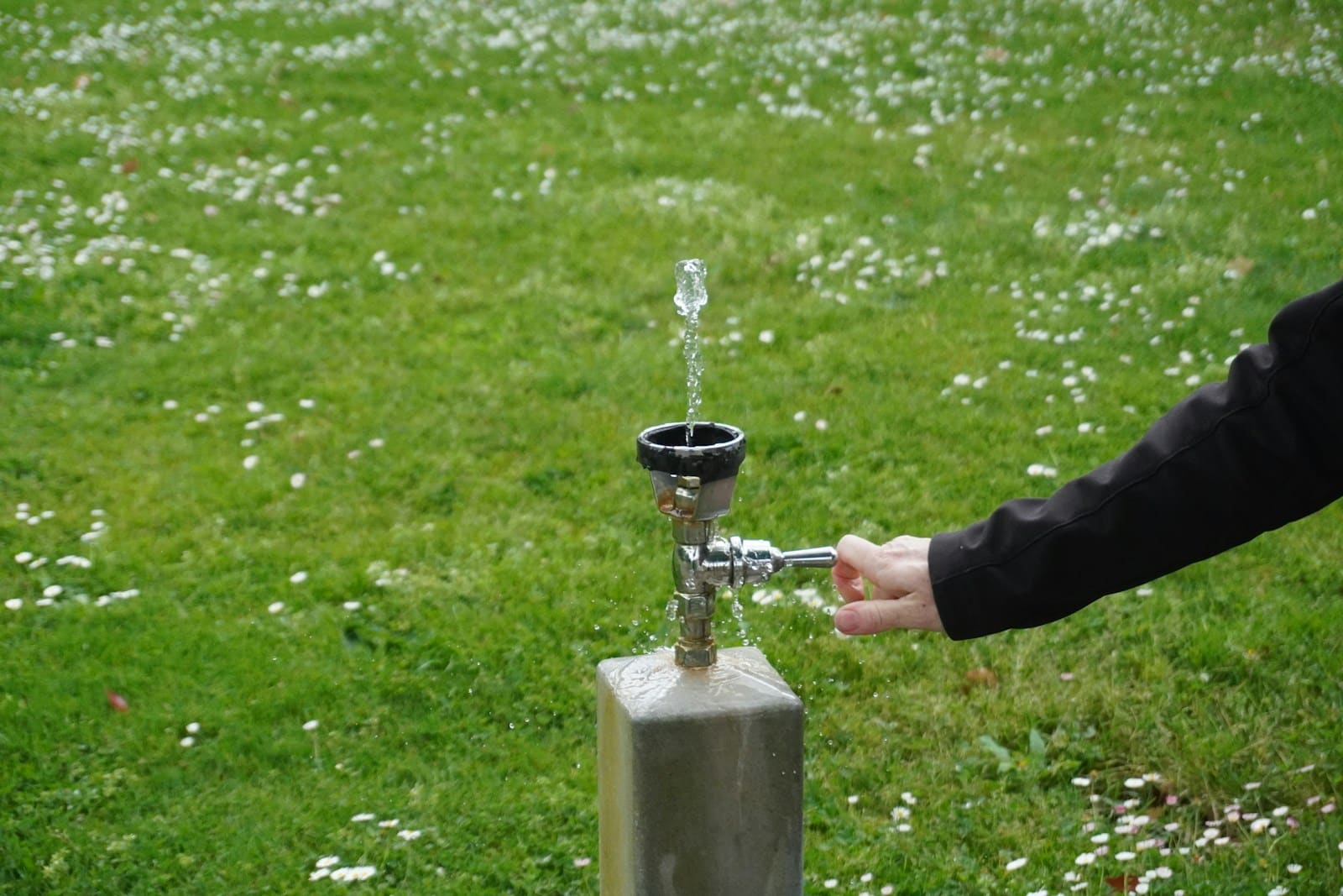arrosage de qualité à Beauvais