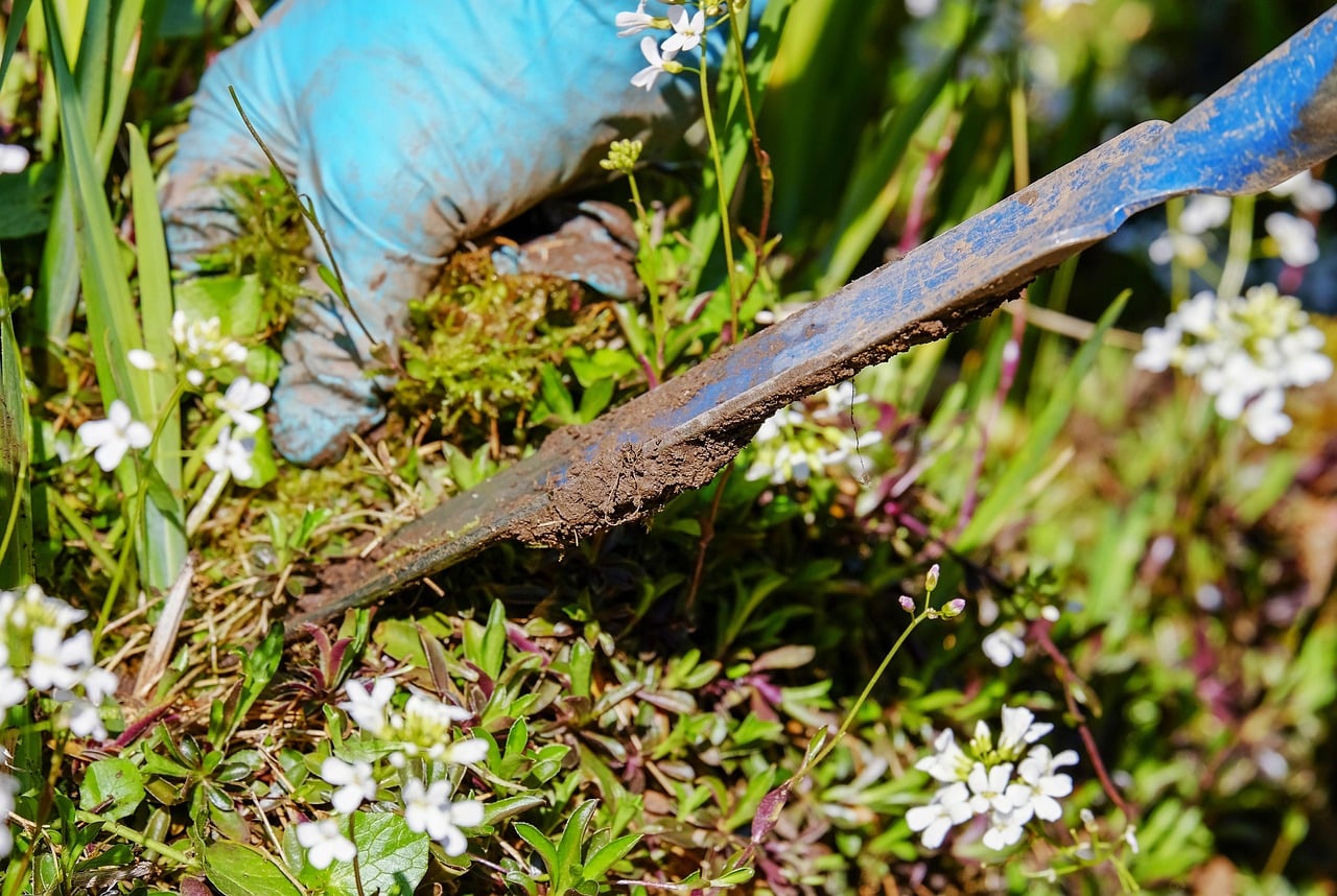 entretien de jardin soigné à Beauvais : enlever les mauvaises herbes