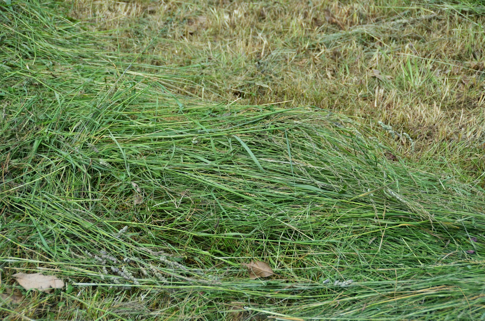 entreprise d’entretien de jardin à Beauvais