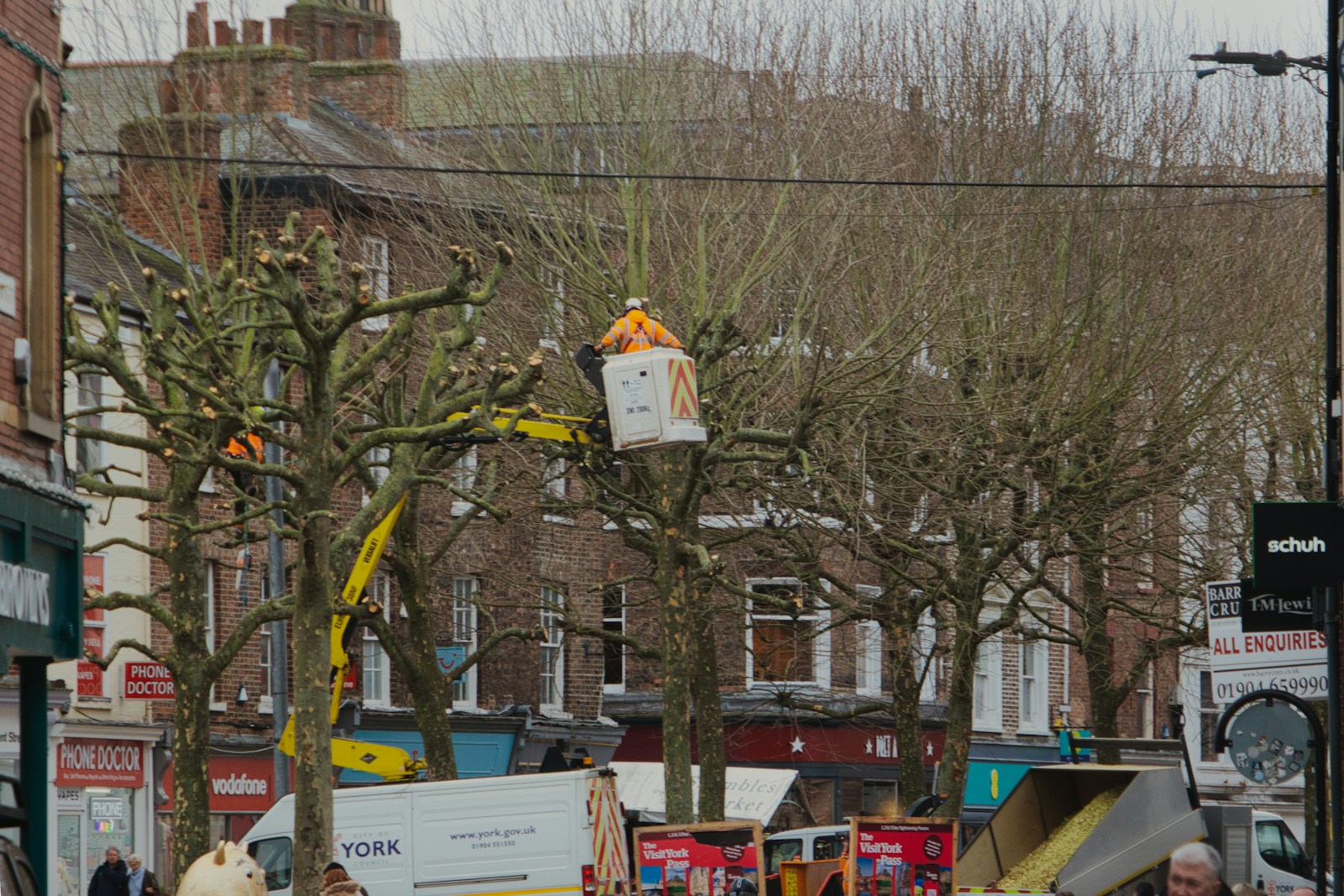 Elagage et Abattage Sécurisés à Beauvais