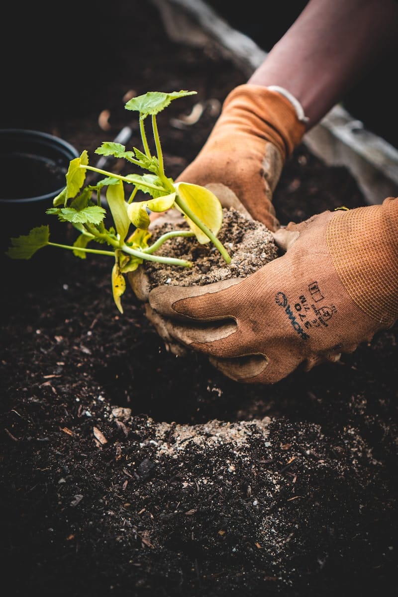 Entreprise d’entretien de jardin à Beauvais