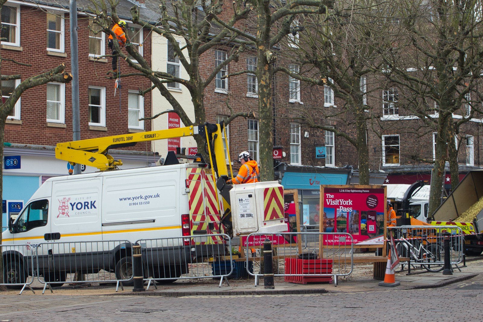 elagage d'arbre a beauvais