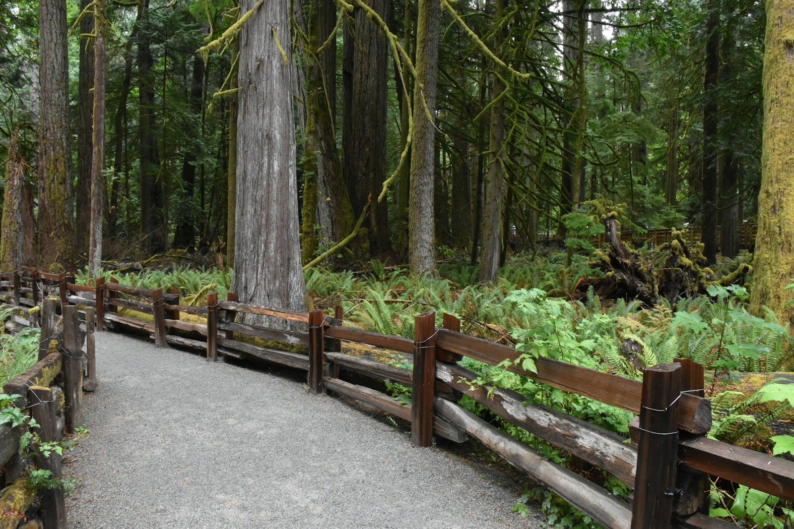 Pose de clôtures et portails premium à Beauvais