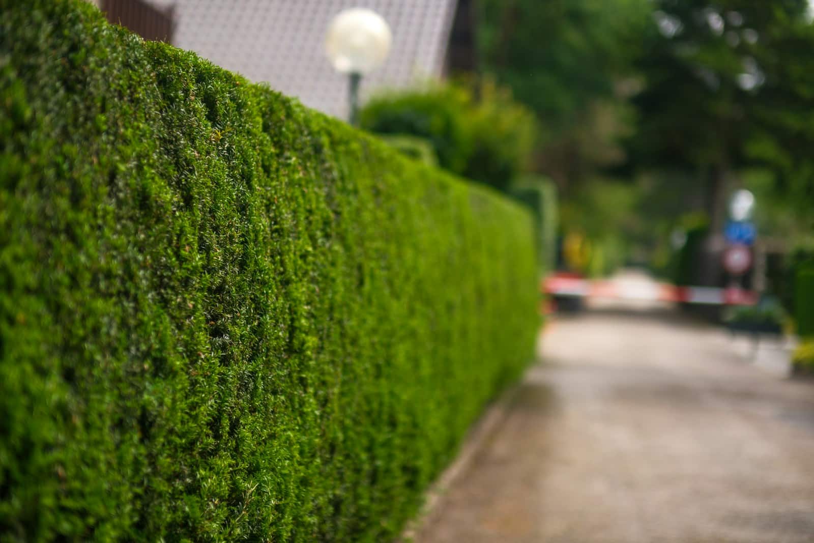 Pose de clôtures et portails premium à Beauvais