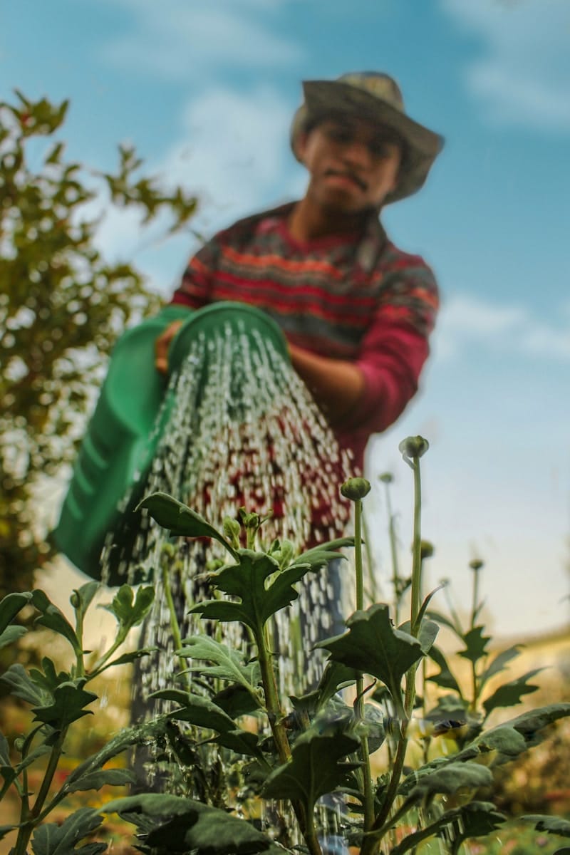 paysagiste professionnel à Beauvais