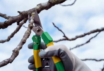 jardinier à Goincourt