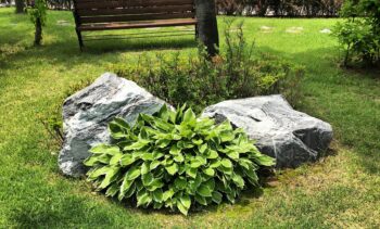 jardinier à Beauvais