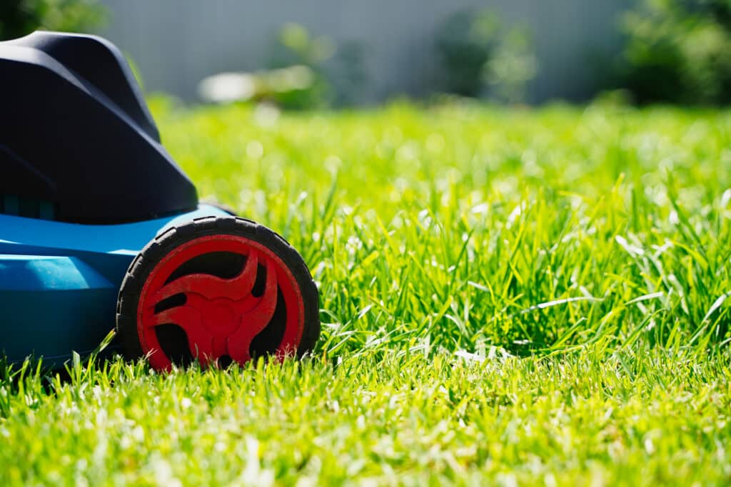 tonte de pelouse Noailles