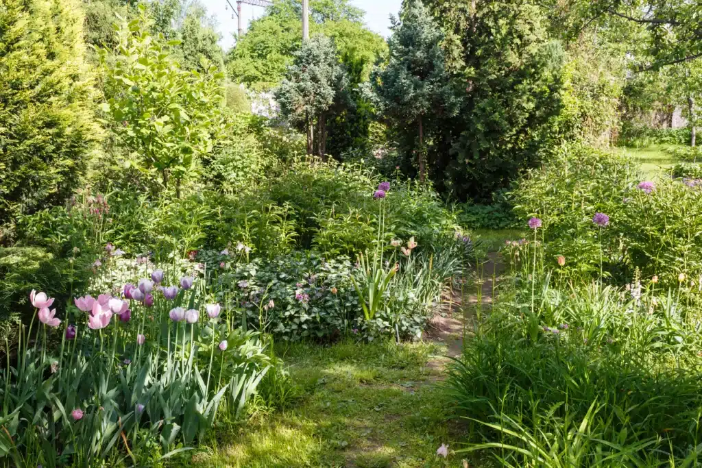 entretien de jardin Allonnes