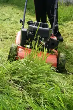entretien des massifs à Noailles