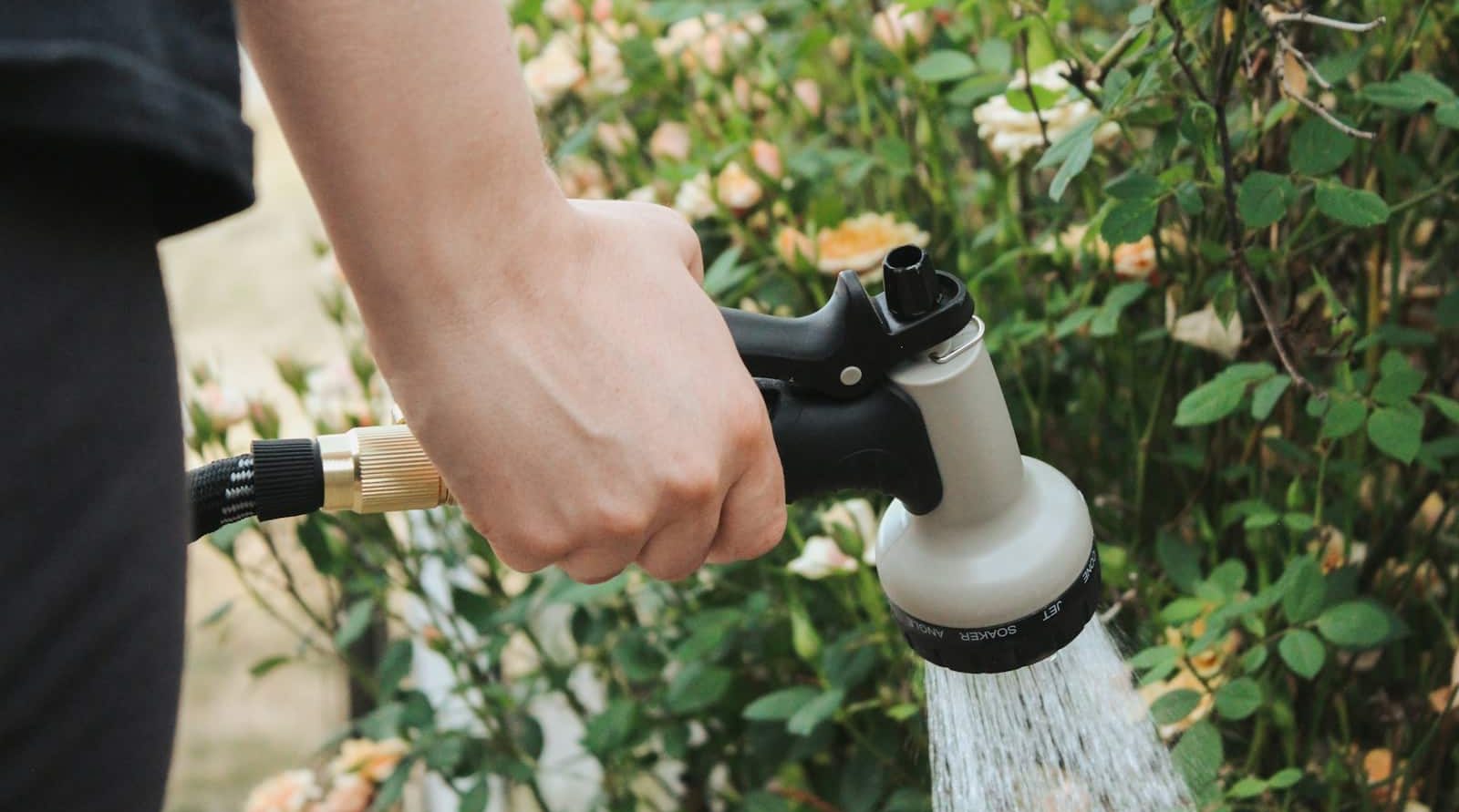 Jardinier et paysagiste incontournable à Beauvais