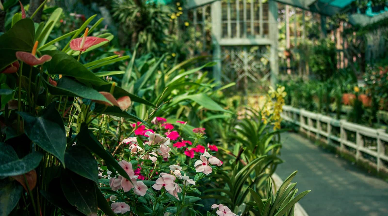 Paysagiste à Beauvais