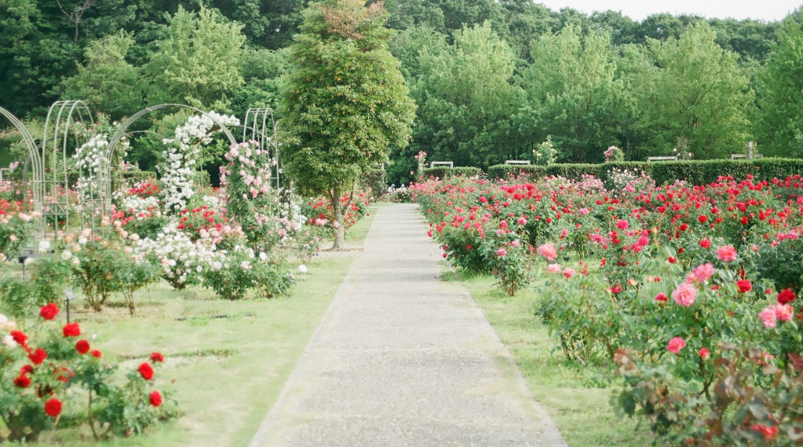 Jardinier et paysagiste incontournable à Beauvais