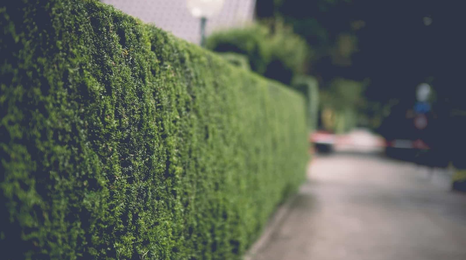 Contact paysagiste à Beauvais