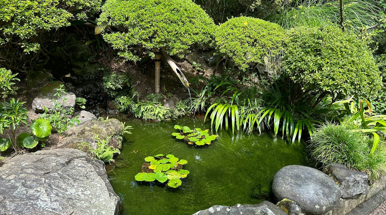 paysagiste qualifié à Tillé