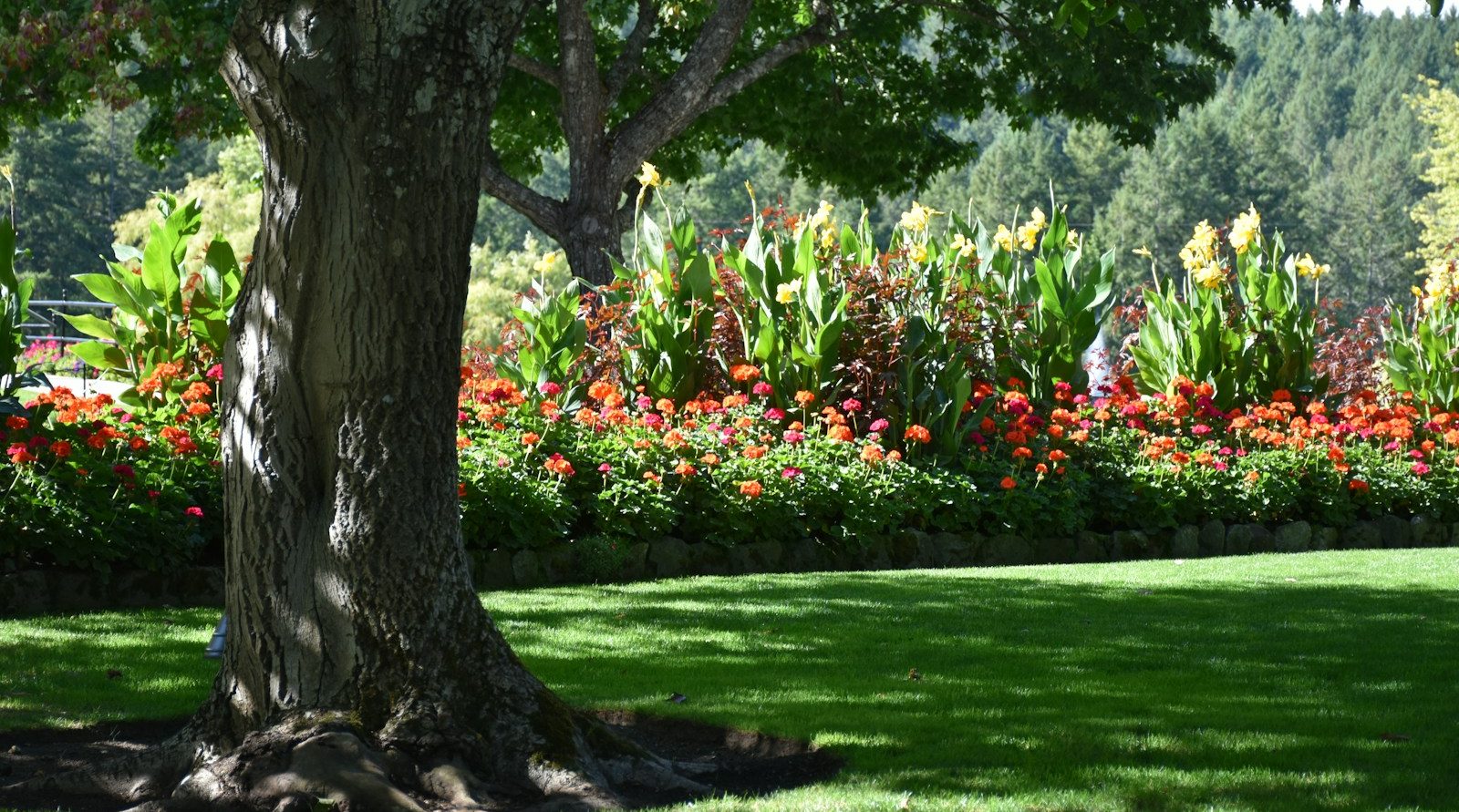 Services de jardinage à Bresles
