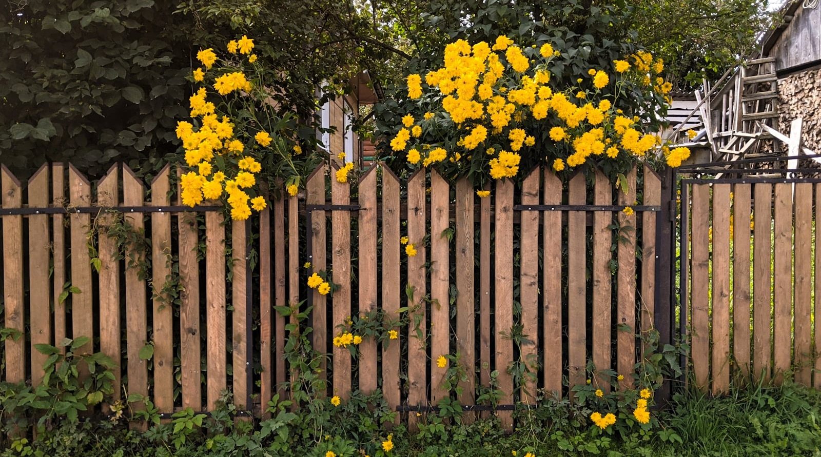 Paysagiste pro à Saint-Paul