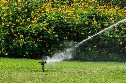Création et aménagement de jardin à Beauvais