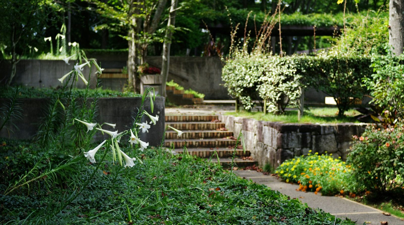 Paysagiste pro à Saint-Paul