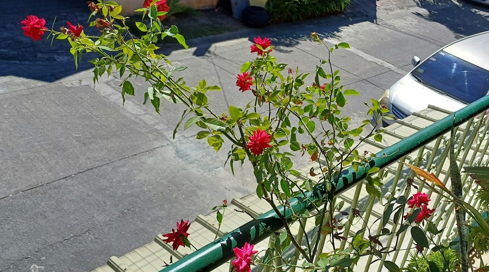 Paysagiste jardinier à Allonne