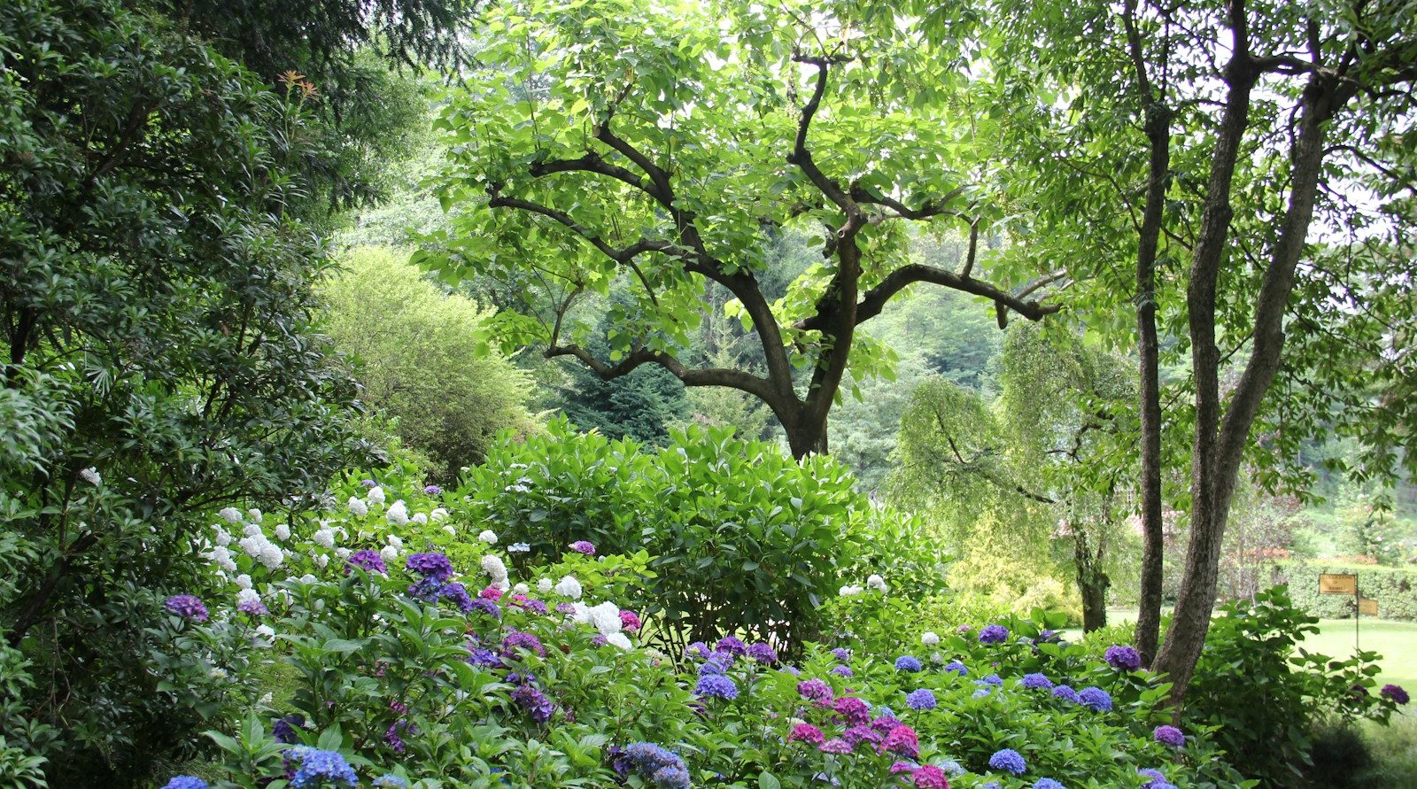 paysagiste qualifié à Tillé