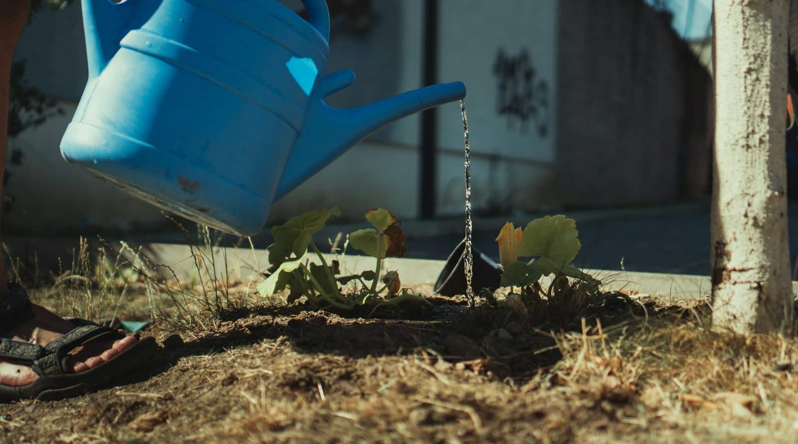 Paysagiste jardinier à Allonne