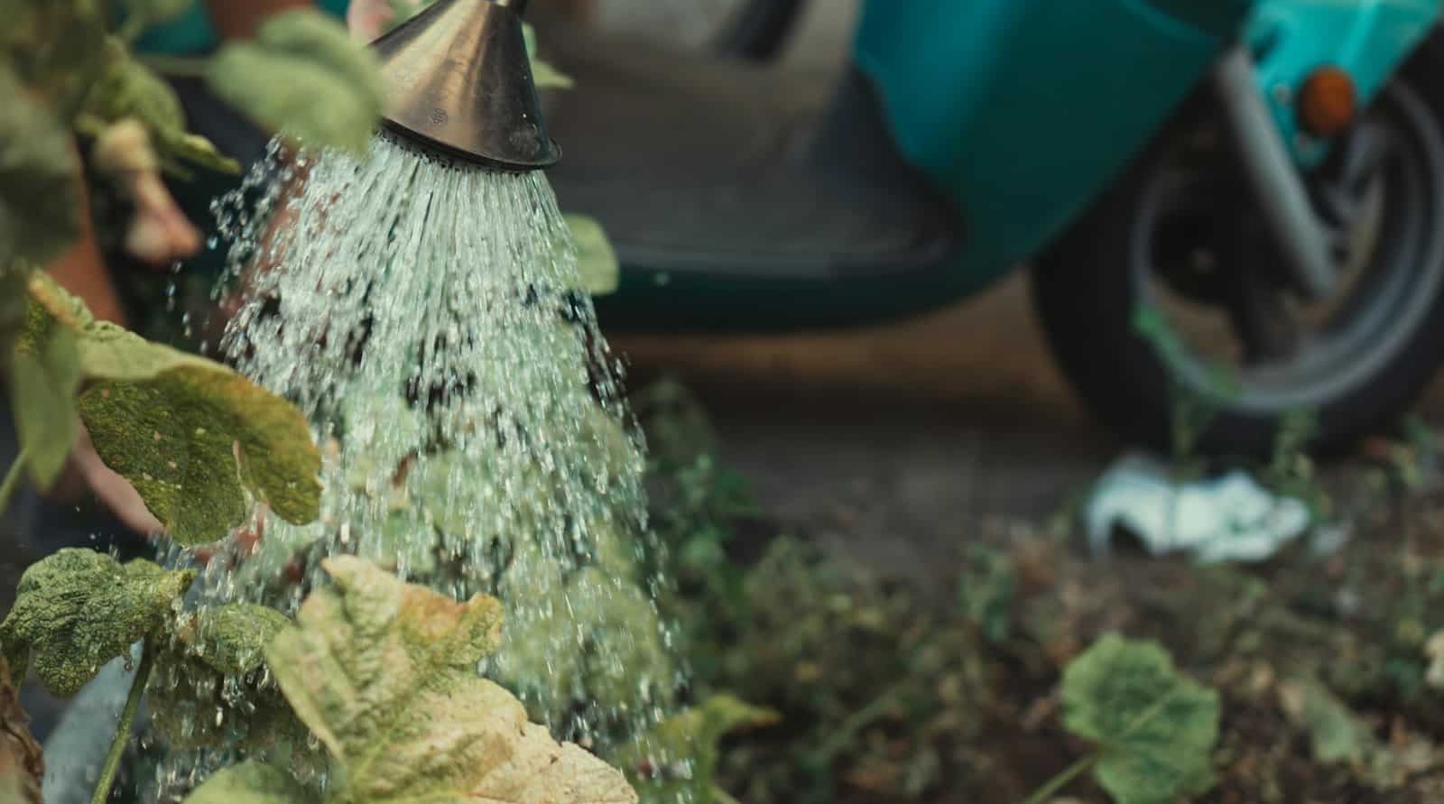 Jardinier paysagiste à Noailles (60)